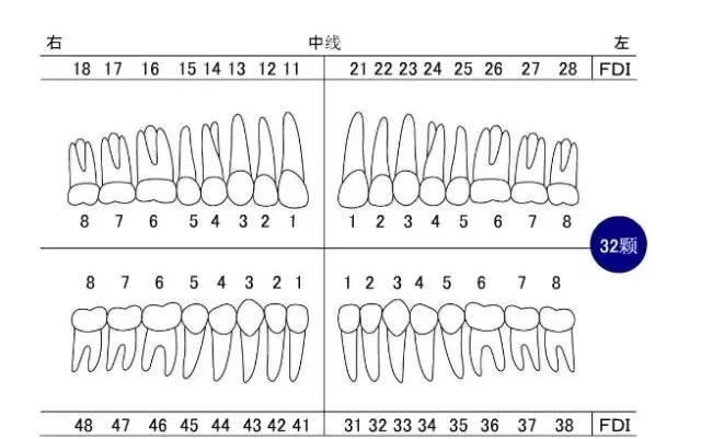 1a2cbada2165491a14f70454af8d33dd_u=1277762940,3842405453&fm=170&s=5AAA346319FECCCC5CF5B1DA0000A0B3&w=640&h=401&img.JPEG