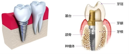 泸州牙科.png