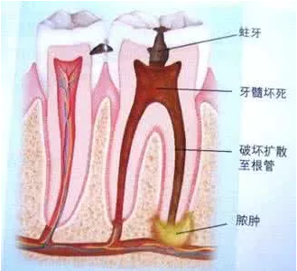 泸州牙科.png